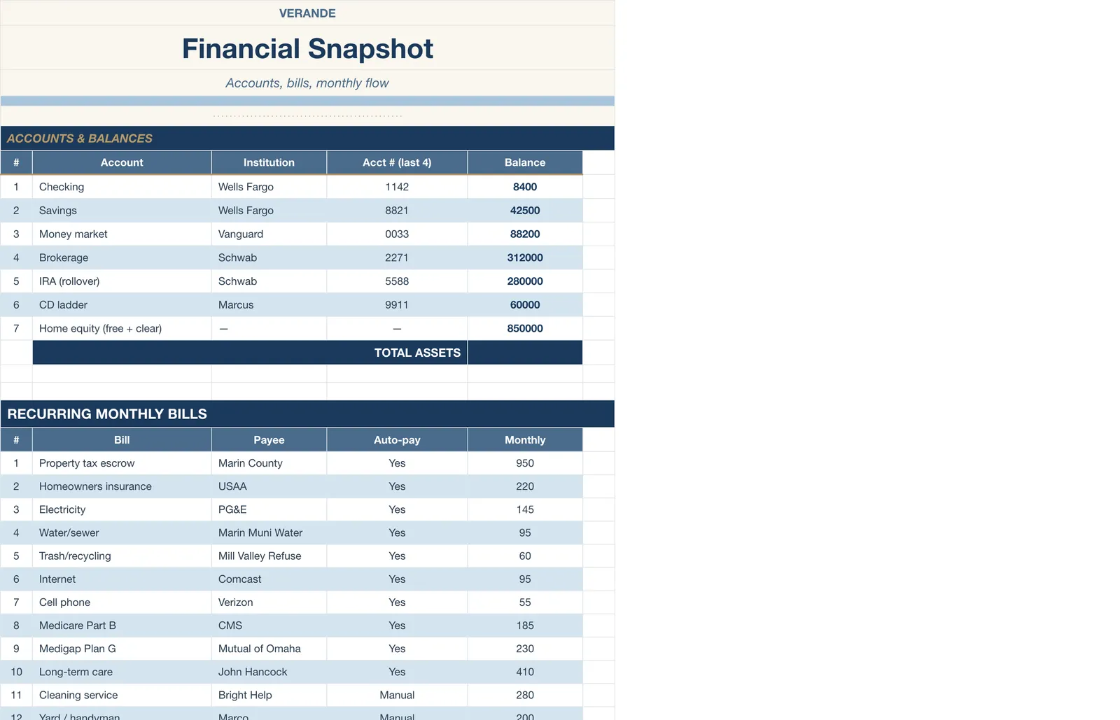 Caregiver Binder Aging Parent, Financial Snapshot