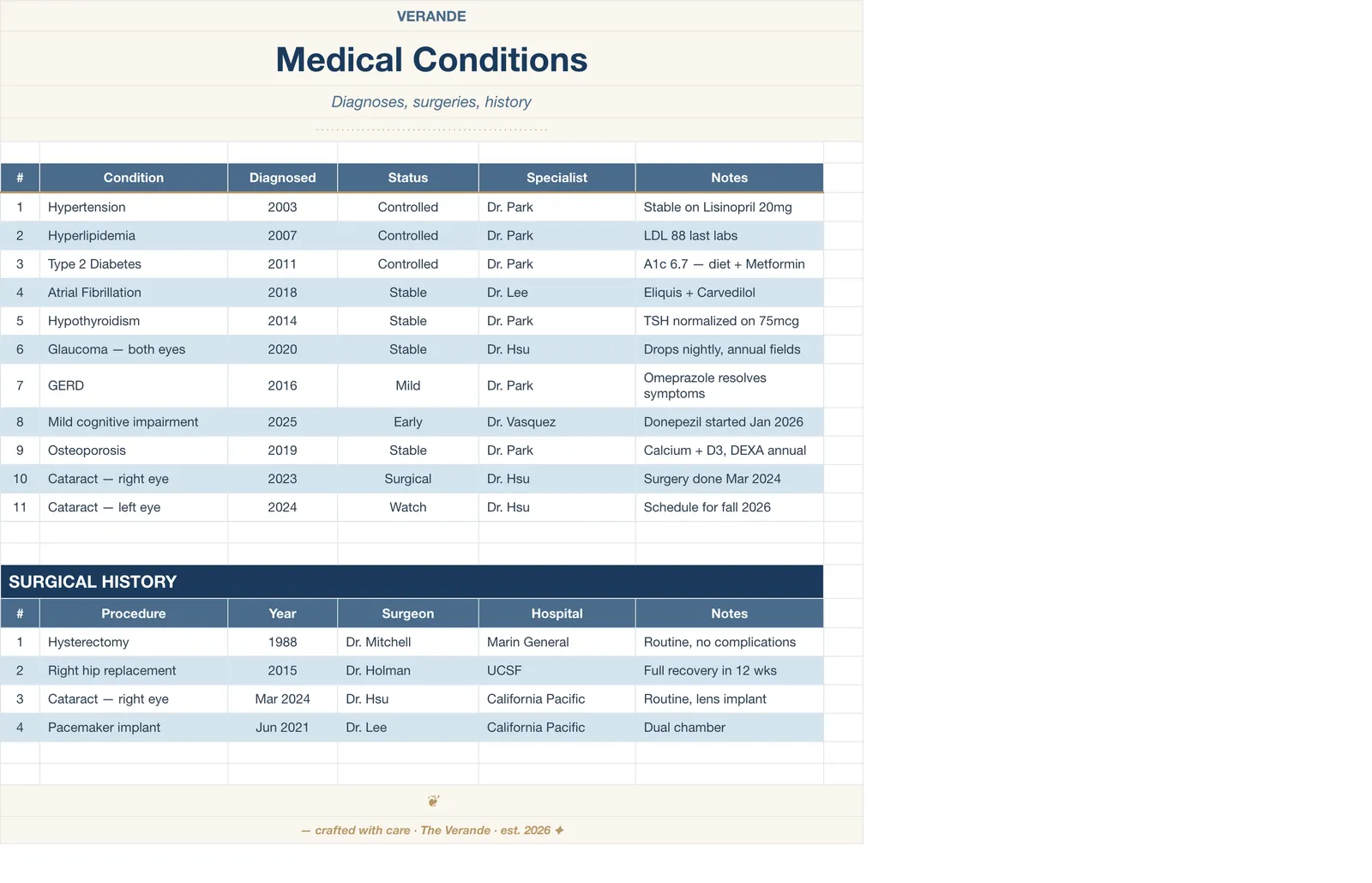 Caregiver Binder Aging Parent, Medical Conditions