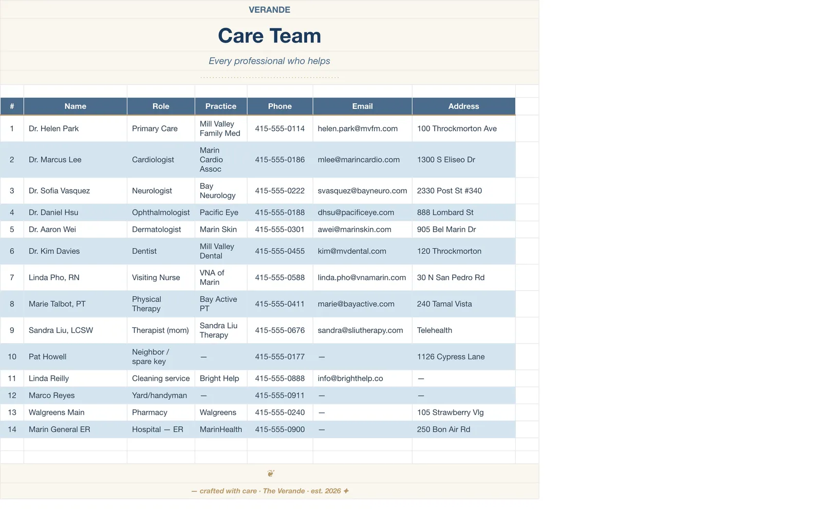 Caregiver Binder Aging Parent, Care Team