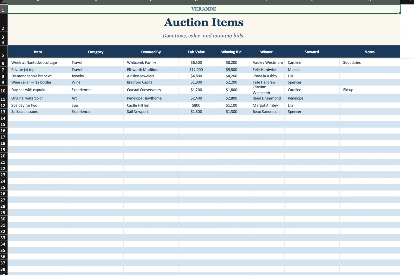 Charity Gala, Auction Items