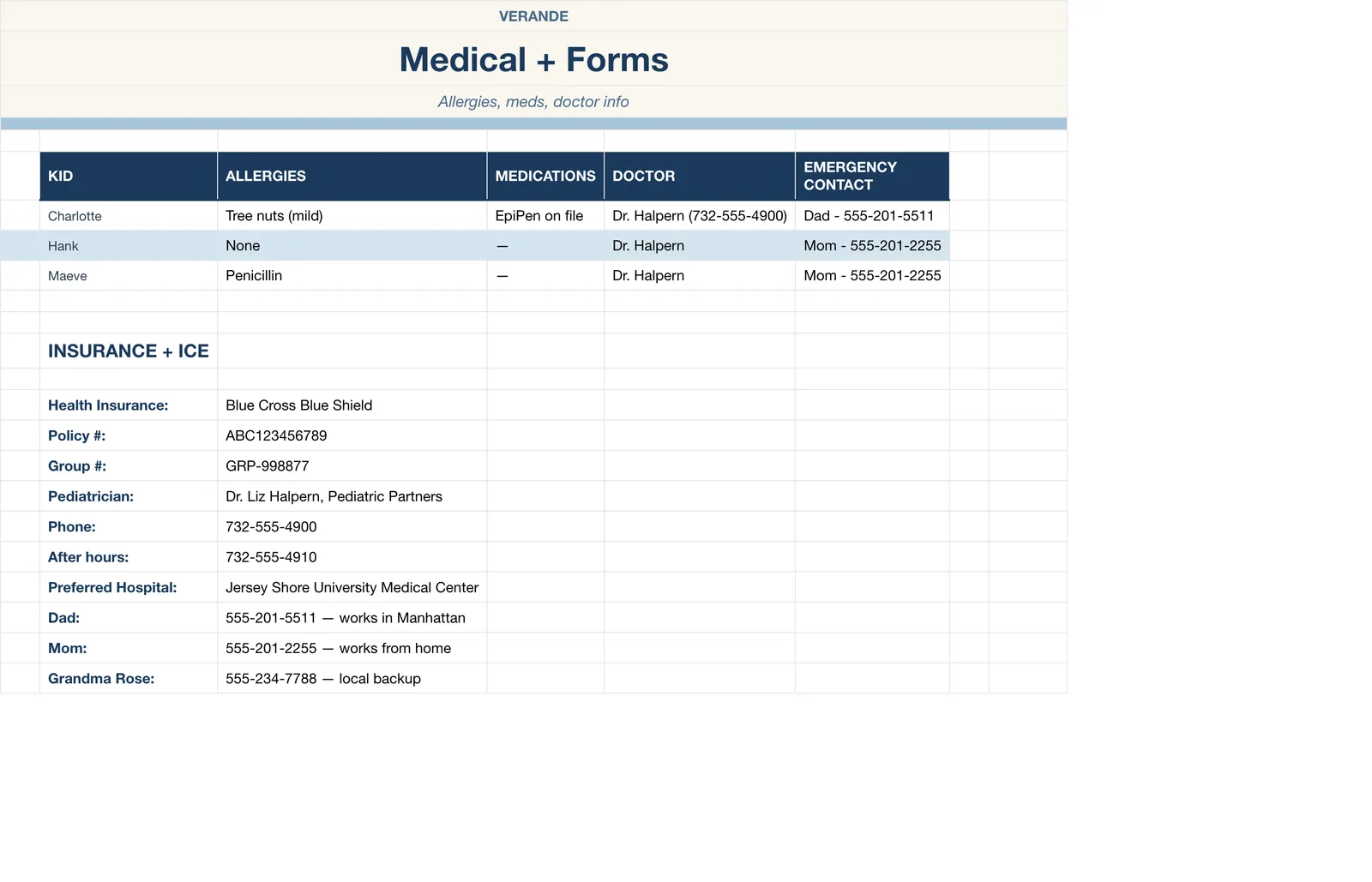 Summer Camp Planner, Medical & Forms