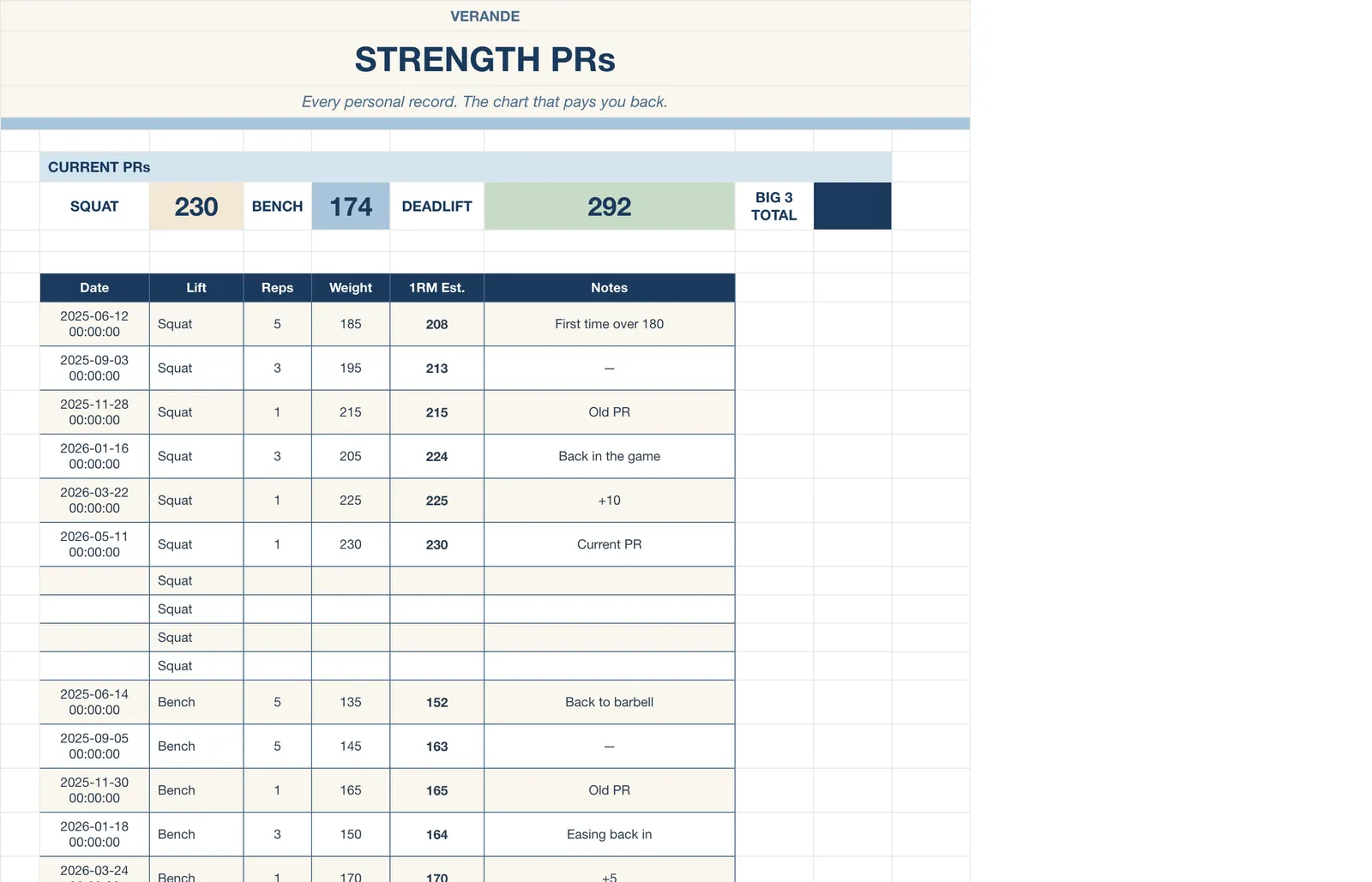 Workout Fitness Tracker, Strength Prs